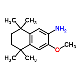 3-Methoxy-5,5,8,8-tetramethyl-5,6,7,8-tetrahydronaphthalen-2-amine structure