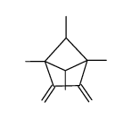 endo,endo-1,4,5,6-Tetramethyl-2,3-dimethylenbicyclo[2.1.1]hexan Structure