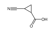 2-cyano-1-cyclopropanecarboxylic acid picture