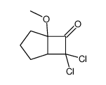 7,7-dichloro-5-methoxybicyclo[3.2.0]heptan-6-one Structure