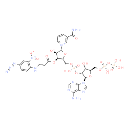 arylazido-beta-alanyl-NADP Structure