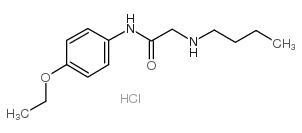 p-ACETOPHENETIDIDE, 2-(BUTYLAMINO)-, HYDROCHLORIDE picture