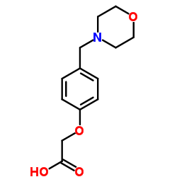(4-MORPHOLIN-4-YLMETHYL-PHENOXY)-ACETIC ACID picture