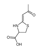 2-(2-oxopropylidene)-1,3-thiazolidine-4-carboxylic acid Structure