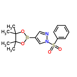 1-(Phenylsulfonyl)-4-(4,4,5,5-tetramethyl-1,3,2-dioxaborolan-2-yl)-1H-pyrazole structure