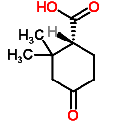 (1R)-2,2-Dimethyl-4-oxocyclohexanecarboxylic acid结构式