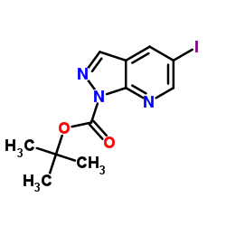 2-Methyl-2-propanyl 5-iodo-1H-pyrazolo[3,4-b]pyridine-1-carboxylate Structure