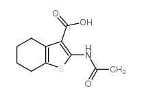 2-乙酰基氨基-4,5,6,7-四氢苯并[b]噻吩-3-羧酸图片