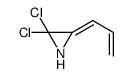 Aziridine, 2,2-dichloro-3-(2-propenylidene)- (9CI) structure