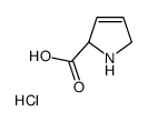 3,4-Dehydro-L-proline hydrochloride picture