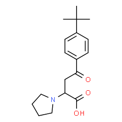 4-[4-(TERT-BUTYL)PHENYL]-4-OXO-2-(1-PYRROLIDINYL)BUTANOIC ACID结构式
