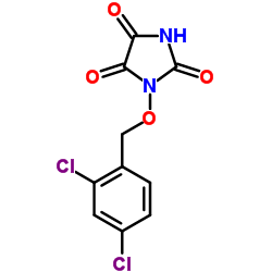 1-[(2,4-Dichlorobenzyl)oxy]-2,4,5-imidazolidinetrione结构式