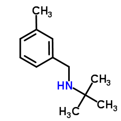 N-(tert-butyl)-N-(3-methylbenzyl)amine图片