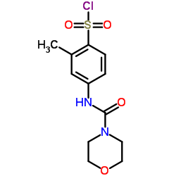 2-METHYL-4-[(MORPHOLINE-4-CARBONYL)AMINO]BENZENESULFONYL CHLORIDE结构式