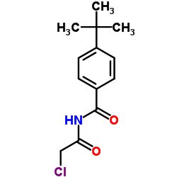 4-tert-butyl-N-(chloroacetyl)benzamide结构式