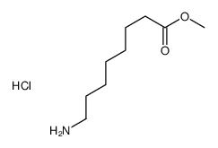 methyl 8-aminooctanoate,hydrochloride结构式