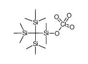 dimethyl(tris(trimethylsilyl)methyl)silyl perchlorate Structure