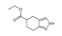4,5,6,7-四氢-1H-吲唑-5-羧酸乙酯结构式