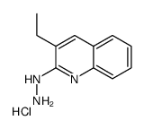 3-Ethyl-2-hydrazinoquinoline hydrochloride结构式