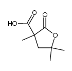 α-carboxy-α-methyl-γ,γ-dimethyl-γ-butyrolactone结构式