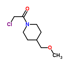 2-Chloro-1-[4-(methoxymethyl)-1-piperidinyl]ethanone Structure