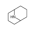 9-azabicyclo[3.3.1]nonane Structure