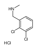 1-(2,3-Dichlorophenyl)-N-Methylmethanamine hydrochloride picture