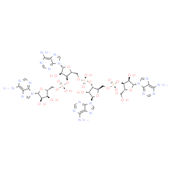 adenylyl-(3'-5')-adenylyl-(3'-5')-adenylyl-(3'-5')-adenosine结构式