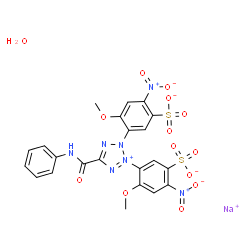 XTT (sodium salt hydrate)结构式