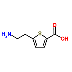 5-(2-Aminoethyl)-2-thiophenecarboxylic acid结构式