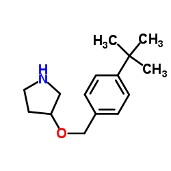 3-{[4-(2-Methyl-2-propanyl)benzyl]oxy}pyrrolidine Structure